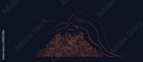 Abstract line mountain Coffee plantation. Vector