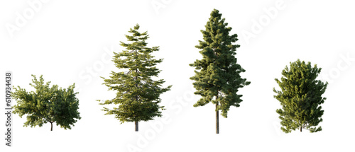 Canvas Print isolated, cutout, hires pine tree, day light, sun, best for parking landscape design, best for render visualisation, post production and compositing
