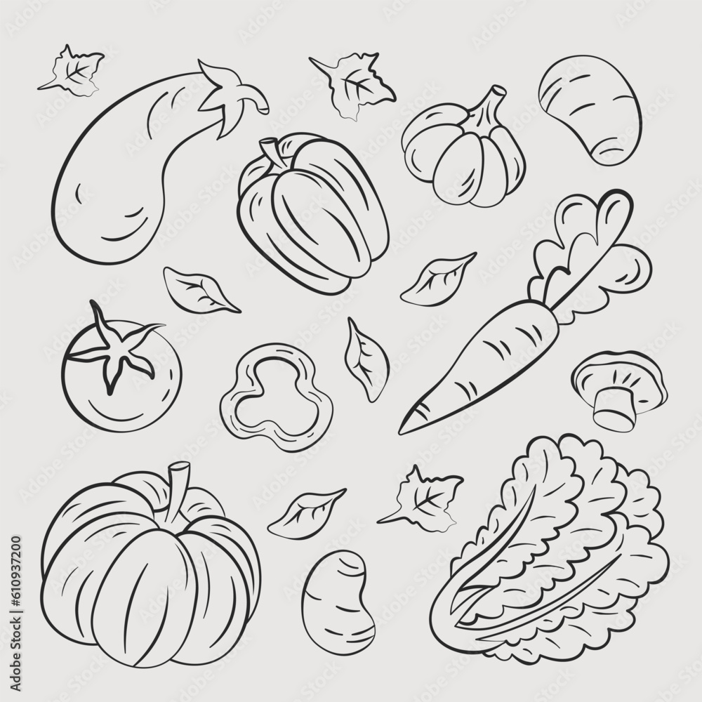 vegetables, hand drawn illustrations, pumpkin cabbage carrot vector
