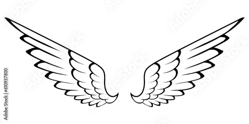 vector angel wings line art style	