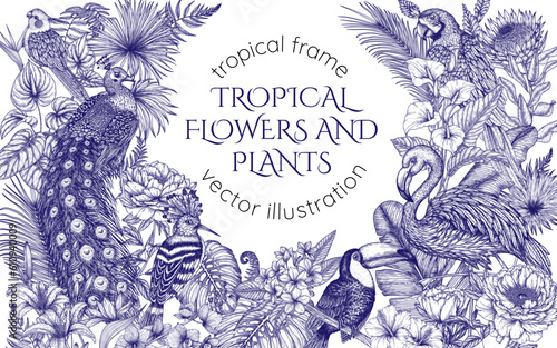 Vector frame with tropical garden with exotic birds. Macaw parrot, toucan, hoopoe, peacock, flamingos and cockatiel parrot in engraving style