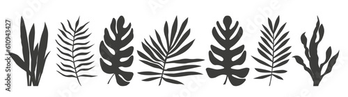 Set of tropical exotic leaves of different types. Vector illustration isolated on white background.