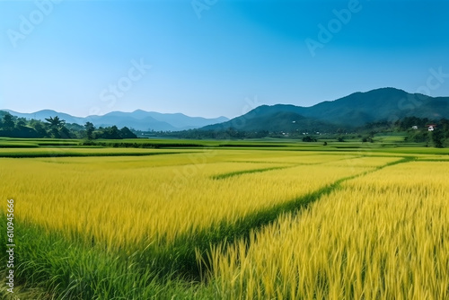 agriculture environment and green field