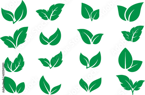 Set of green leaf icons. Leaves icon. Different Leaves of trees and plants. Collection green leaf. Elements design for natural  eco  bio  vegan labels  banner and poster. Editable vector  eps 10.
