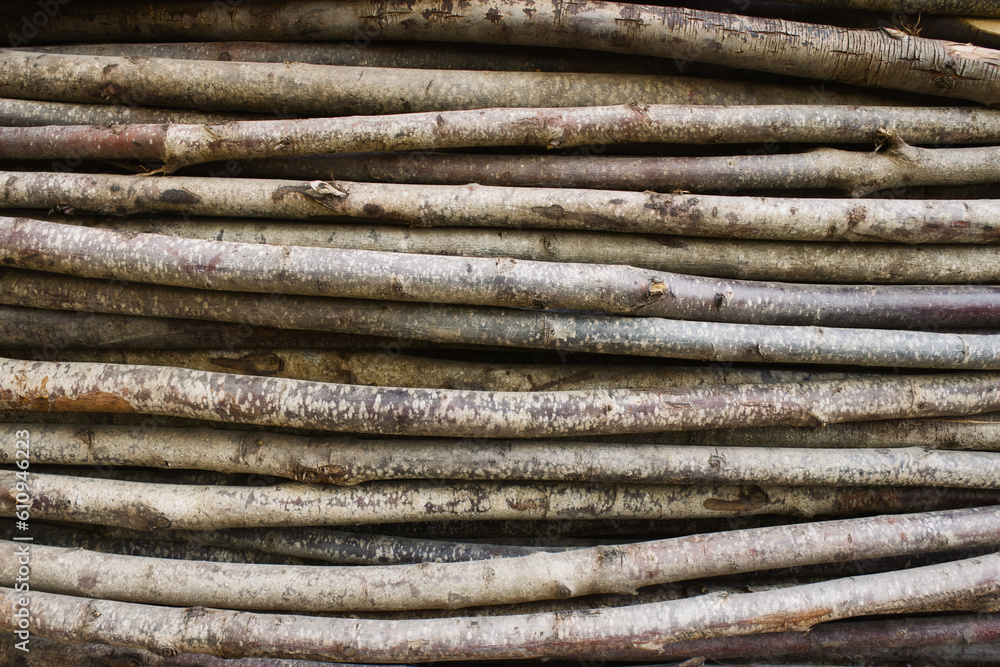A full-frame nature concept background with a bundle of stacked twigs or sticks from trees A full-frame nature concept background with a bundle of stacked twigs or sticks from trees