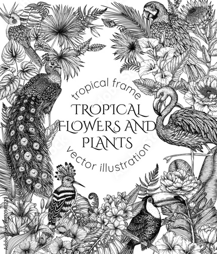 Vector frame with tropical garden with exotic birds. Macaw parrot, toucan, hoopoe, peacock, flamingos and cockatiel parrot in engraving style