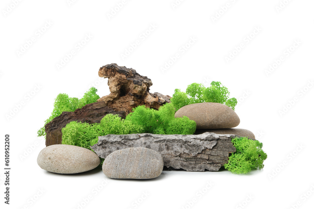 PNG photo, Moss isolated on white background PNG photo, Moss isolated on white background