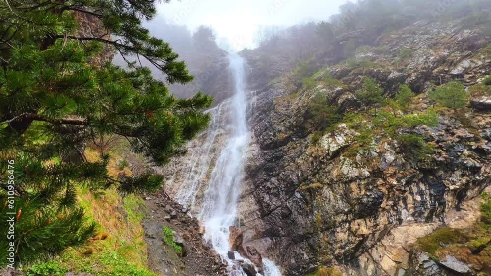 Hares waterfall in rainy weather in the mountains. A thick fog is spreading over the pine forest. Shooting a waterfall in spruce forests on mountain hills on a foggy day. North Ossetia. Digoria Gorge.