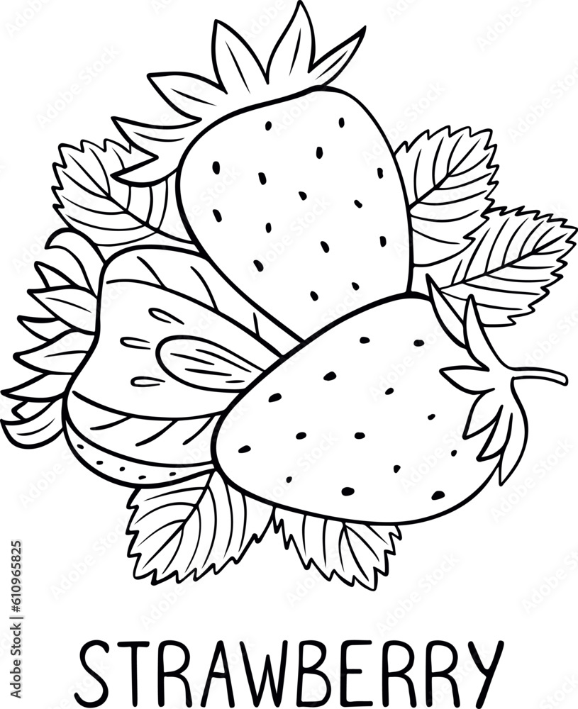 Strawberry in doodle style isolated on white background. Fresh berries sketch. Organic healthy food. Vector illustration