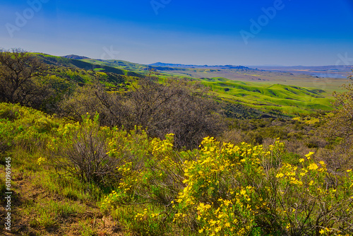 Exploring the back roads of the Carrizo plain in the spring