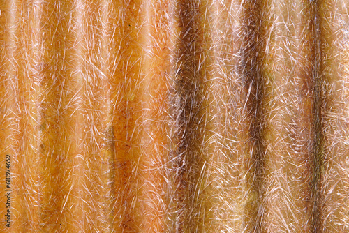 old galvanized sheet,abstract background,copy space