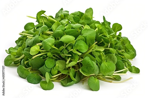 Watercress isolated on white