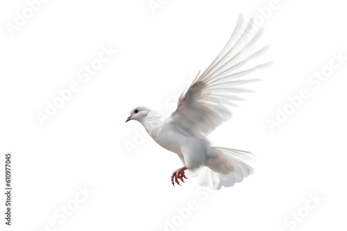 Dove on Isolated Transparent Background. Generative AI