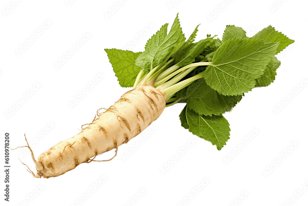 Horseradish root isolated on transparent background. PNG file, cut out