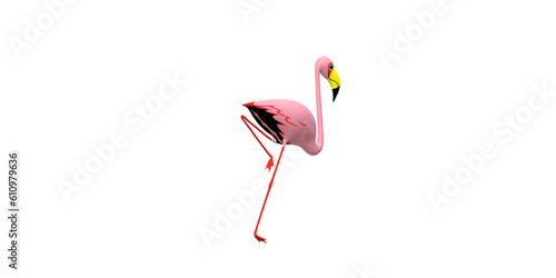 Flamingo isolated on a Transparent Background