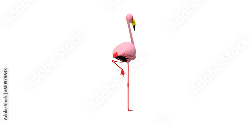 Flamingo isolated on a Transparent Background