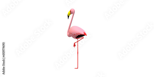 Flamingo isolated on a Transparent Background