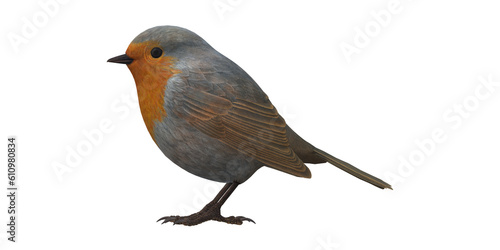 Robin Bird isolated on a Transparent Background