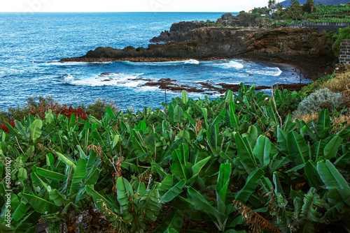 Wallpaper Mural Cliff landscape and banana plantation on La Palma. Canary Island, Spain Torontodigital.ca
