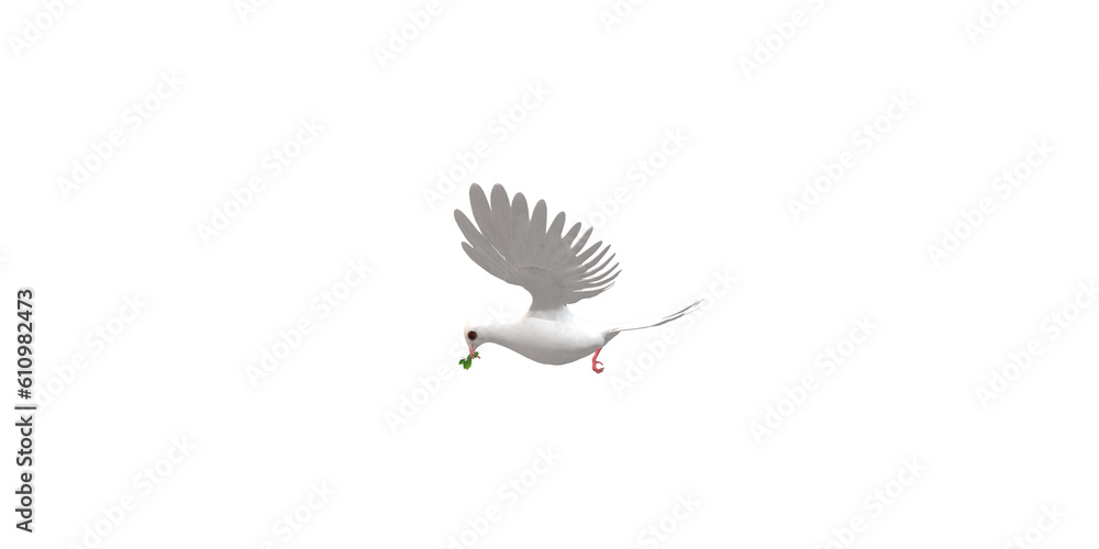 Obraz premium Peace Dove isolated on a Transparent Background