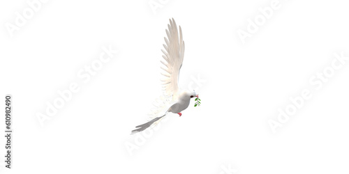 Peace Dove isolated on a Transparent Background