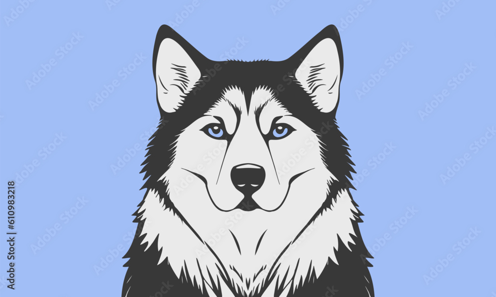 Vector portrait of a cute beautiful serious dog of the Alaskan Malamute or Husky breed on a blue background. Sticker or icon.