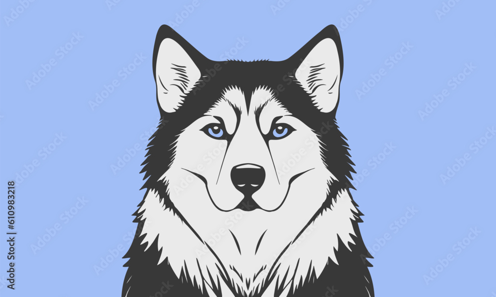 Vector portrait of a cute beautiful serious dog of the Alaskan Malamute or Husky breed on a blue background. Sticker or icon. Vector portrait of a cute beautiful serious dog of the Alaskan Malamute or Husky breed on a blue background. Sticker or icon.