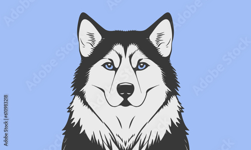 Vector portrait of a cute beautiful serious dog of the Alaskan Malamute or Husky breed on a blue background. Sticker or icon.