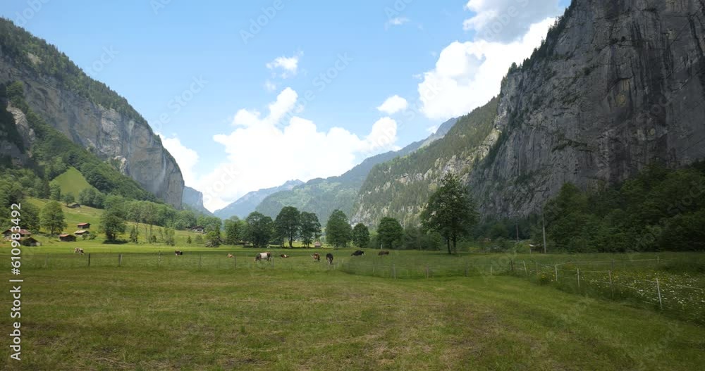 Swiss Alps valley landscape. Panning shot of high cliffs, green pastures, cows and partially cloudy sky, real time Swiss Alps valley landscape. Panning shot of high cliffs, green pastures, cows and partially cloudy sky, real time