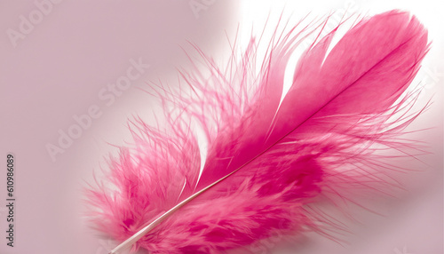 pink feather © SA Studio