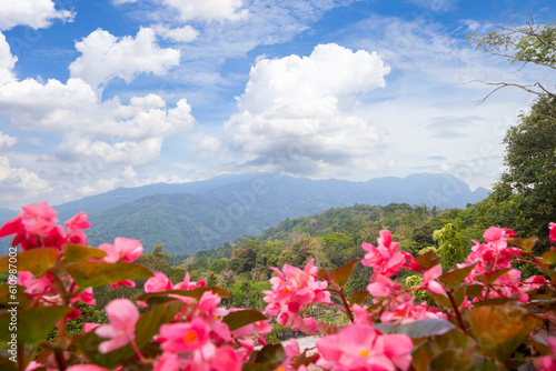 The Natural scenery overlooking the beautiful mountains and trees of Thailand.