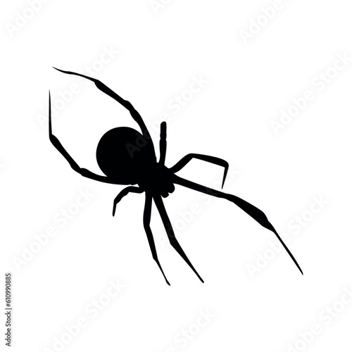 spider silhoeutte vector