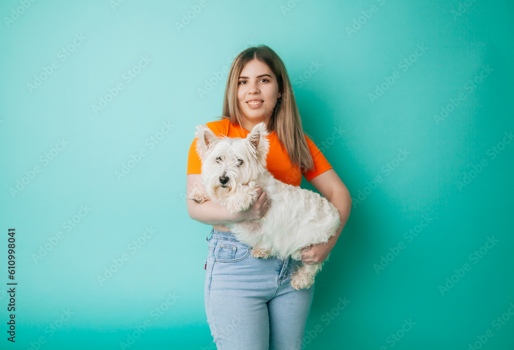 portrait of a beautiful young girl with a dog in her arms on a blue background, the girl hugs her pet West Highland White Terrier, copy space portrait of a beautiful young girl with a dog in her arms on a blue background, the girl hugs her pet West Highland White Terrier, copy space