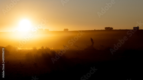 Fototapeta Naklejka Na Ścianę i Meble -  springbok silhouette in dust early morning
