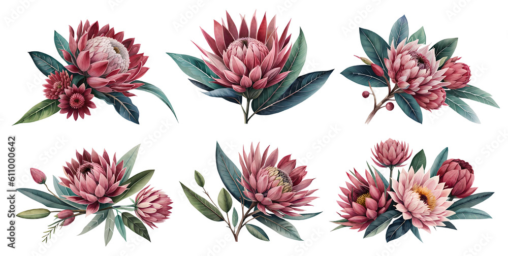 Protea watercolor set. Generative Ai