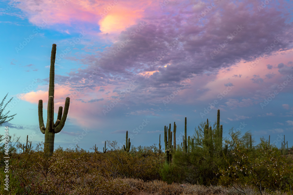 Pink & Magenta Colored Sunset Skies In Arizona Desert