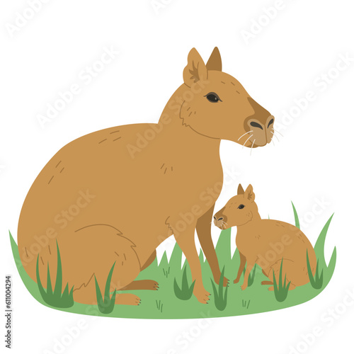 Quadro su tela Patagonian mara illustration