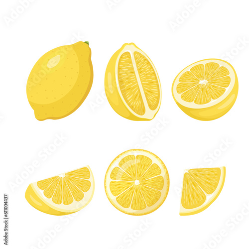 Whole yellow lemon with lemon fruit slice, round slices. Pieces of lemon citrus fruit, vector illustration.
