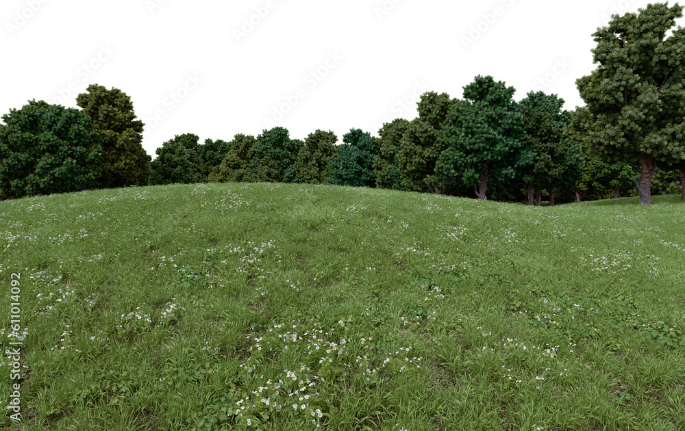 Fototapeta premium Realistic grass hill and forest tree line. 3d rendering of isolated objects.