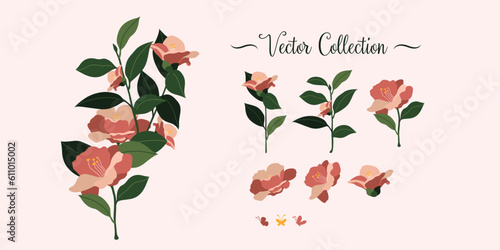 Wallpaper Mural Set of beautiful roses and butterflies in vector. Flat style. Torontodigital.ca