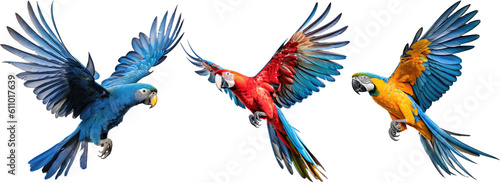Collection of three birds, flying macaw parrots set (red, blue and blue-and-yellow) isolated on white background as transparent PNG, generative AI animal bundle photo