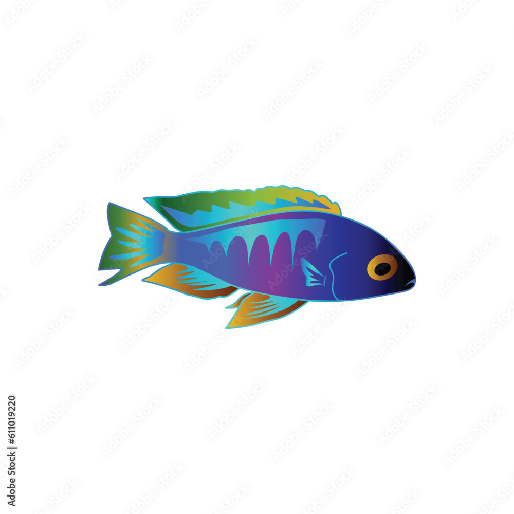 set of cichlid fish vector isolated on white background. animal, sea, fish, fishing, cichlid, cichlid fish, aquarium, pet, decorative fish, freshwater, blue, sticker, clipart, vector illustration. set of cichlid fish vector isolated on white background. animal, sea, fish, fishing, cichlid, cichlid fish, aquarium, pet, decorative fish, freshwater, blue, sticker, clipart, vector illustration.