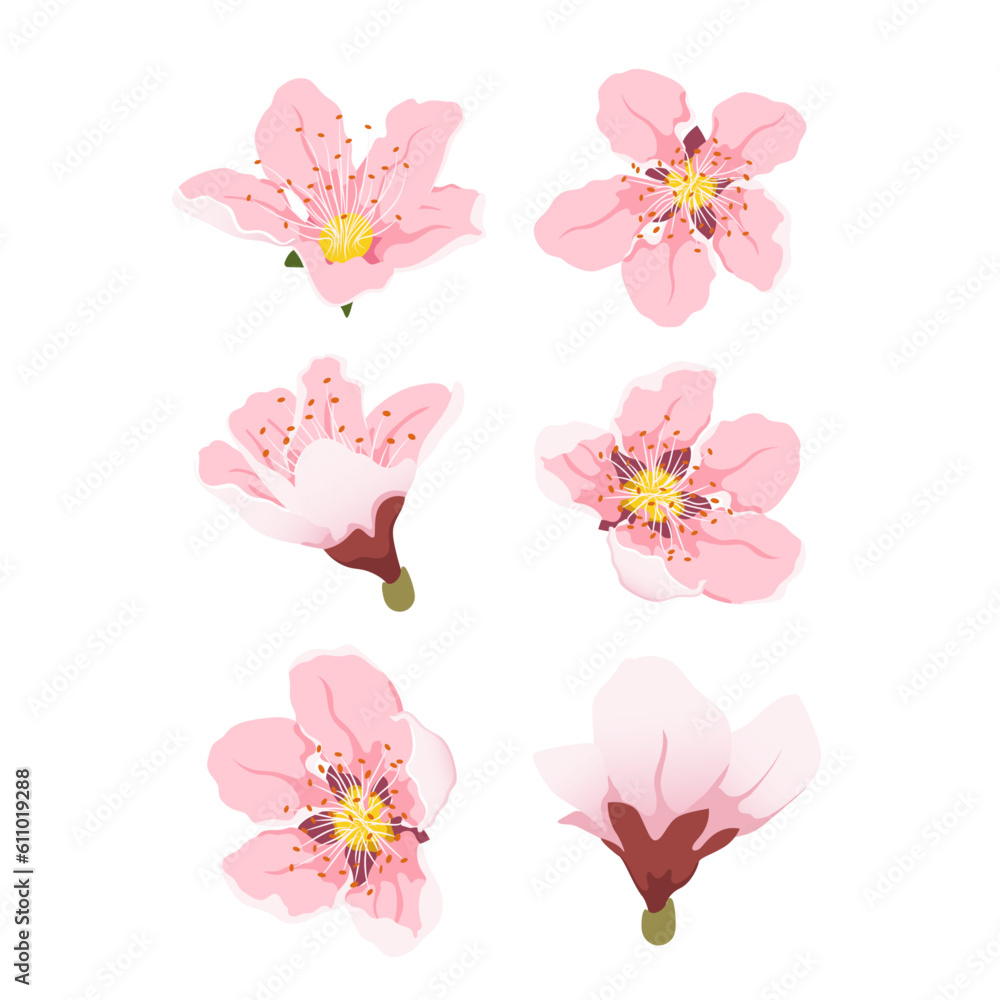 Peach flowers from different angles. Peach blossom pink flowers. Big set flat vector spring flowers. Peach flowers from different angles.