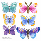 Watercolor set of butterfly isolated on white background. Handpaiting watercolor illustration on white background.