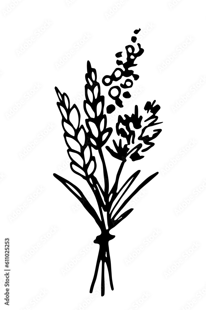 Simple black outline vector drawing. Bouquet of wild flowers, spikelets of wheat. Sketch in ink. Simple black outline vector drawing. Bouquet of wild flowers, spikelets of wheat. Sketch in ink.