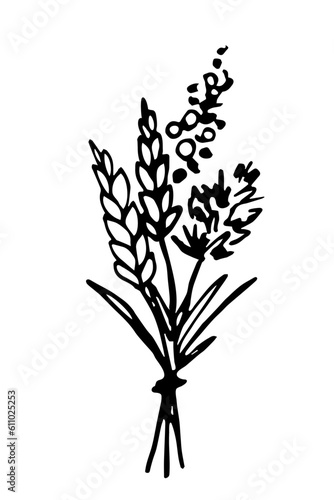 Simple black outline vector drawing. Bouquet of wild flowers, spikelets of wheat. Sketch in ink.