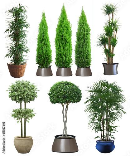 Beautiful tree on a white background. beautiful trees in pots. a.(23)