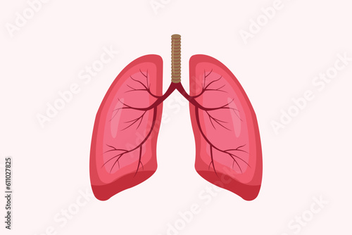 illustration of humans lung isolated on white background. education illustration. eps 10