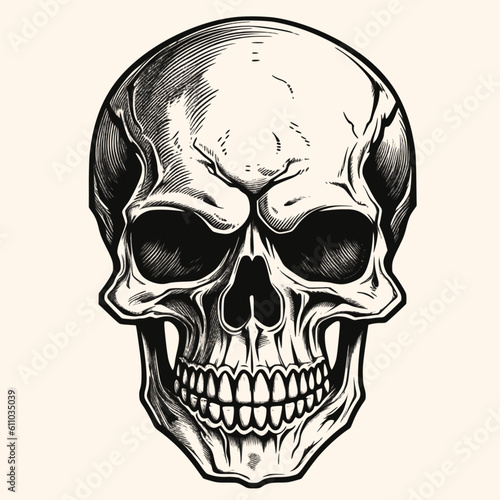 Human skull, black and white drawing elegant style