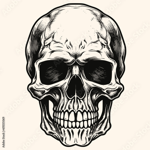 Human skull, black and white drawing elegant style